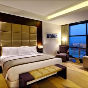 Deluxe Suite Room